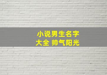 小说男生名字大全 帅气阳光